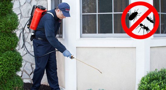 Haymana Kene İlaçlama böcek ilaçlama ve haşere kontrolü — ilaclama-tr.com